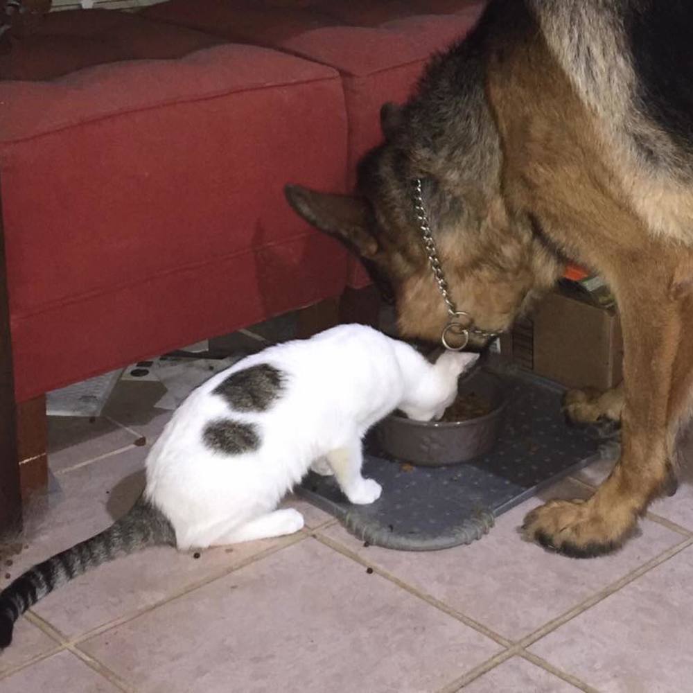 Meet your Posher, Ann